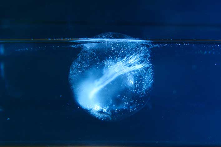 Hielo
